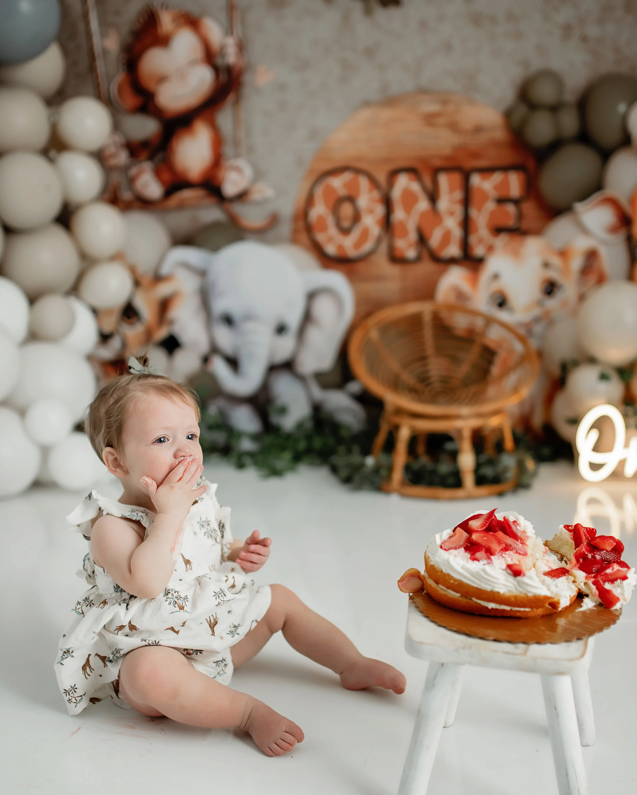 Cake smash photographer in Syracuse NY