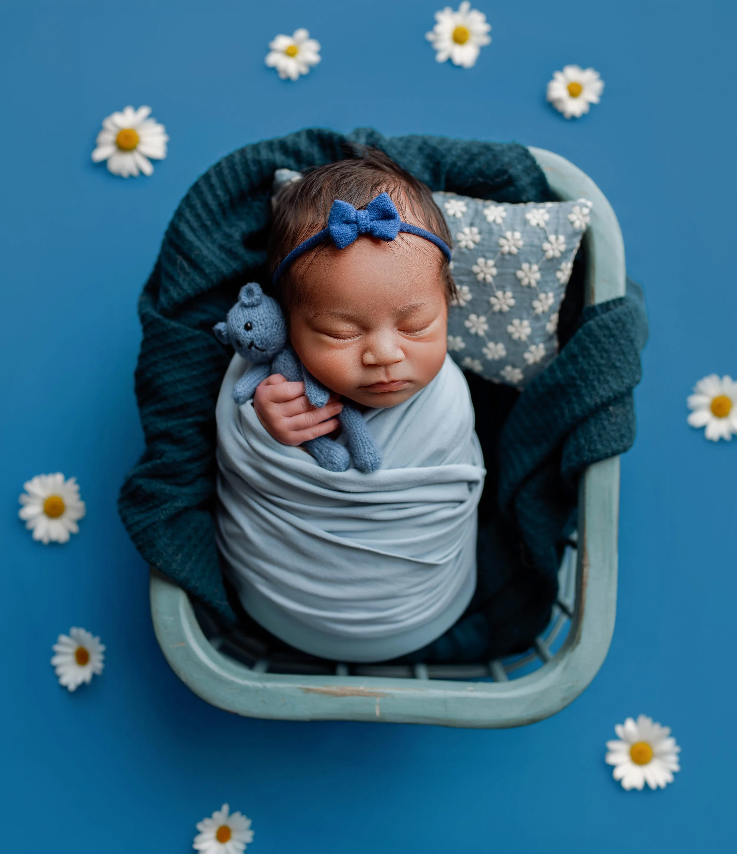 newborn photos cny