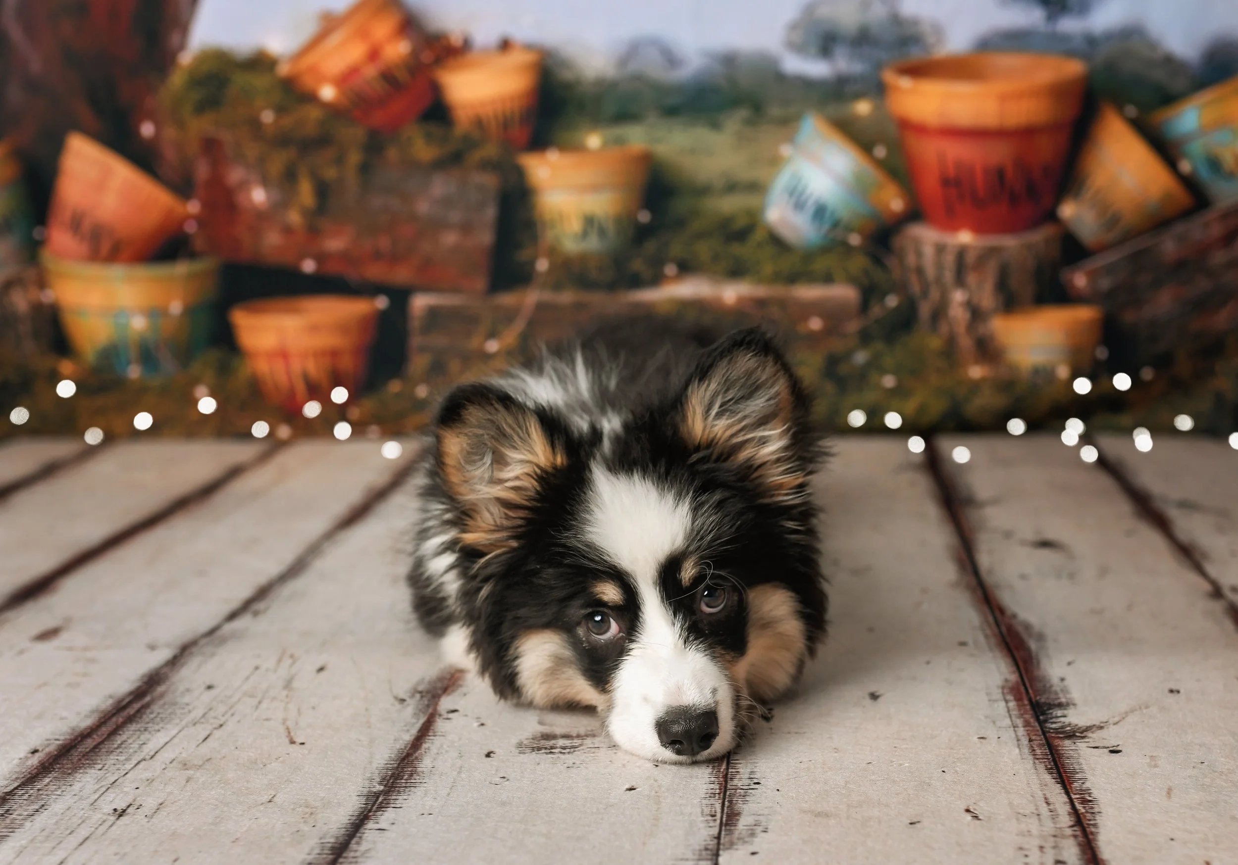 Photographer in Syracuse NY