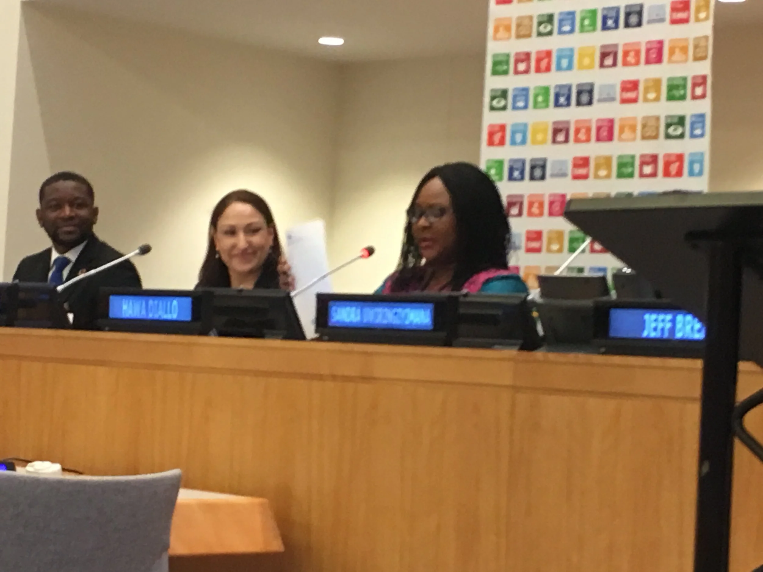 United Nations, January 24, 2019