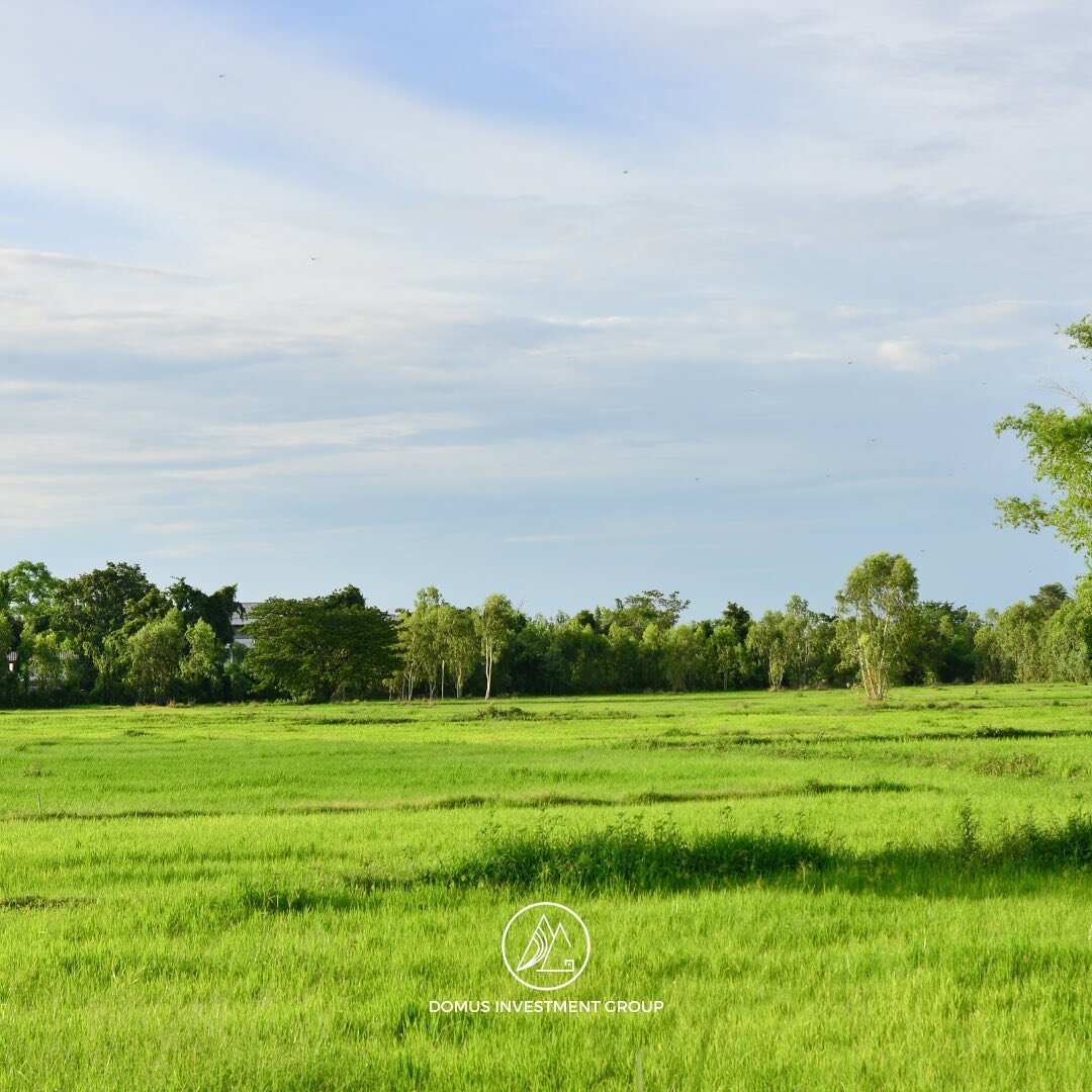 One reason to invest in land is that it is a tangible and physical resource. Land cannot disappear like shares or stocks. Regardless of the global economic state, land is something that will always have value. 🌱

Interested in purchasing land now? C