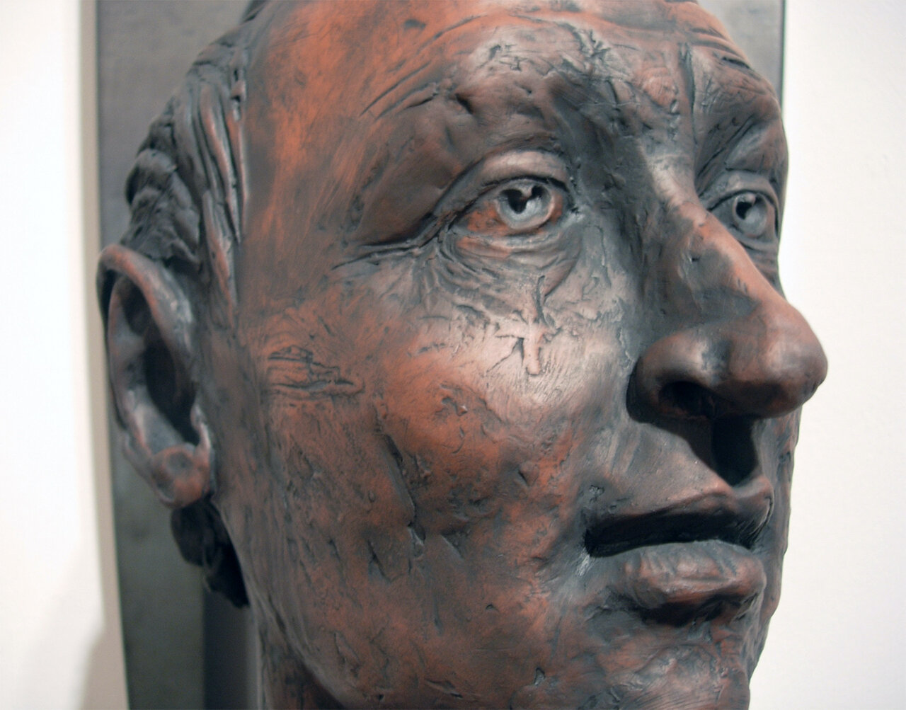 f756042137e7df3b-Guardian_pointedhair_detail.jpg