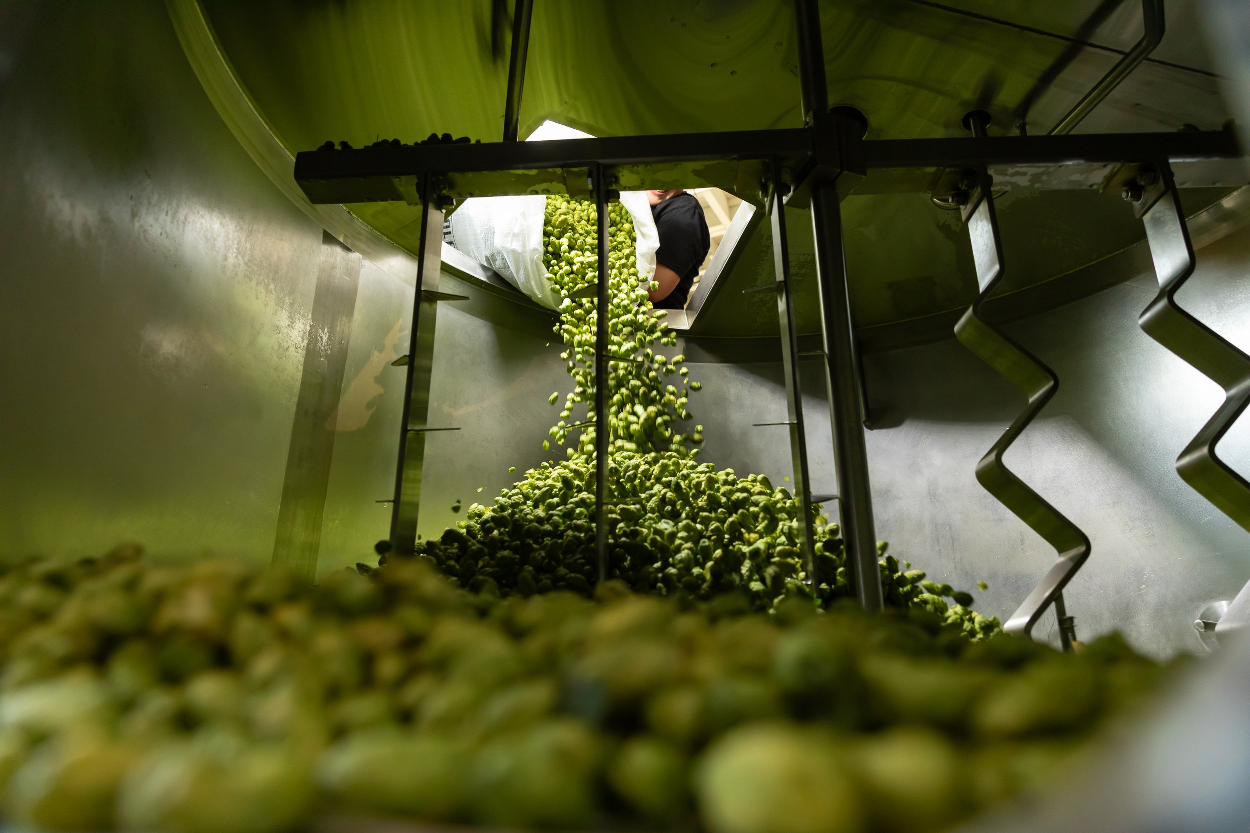 Grand Fir_Web-31.jpg