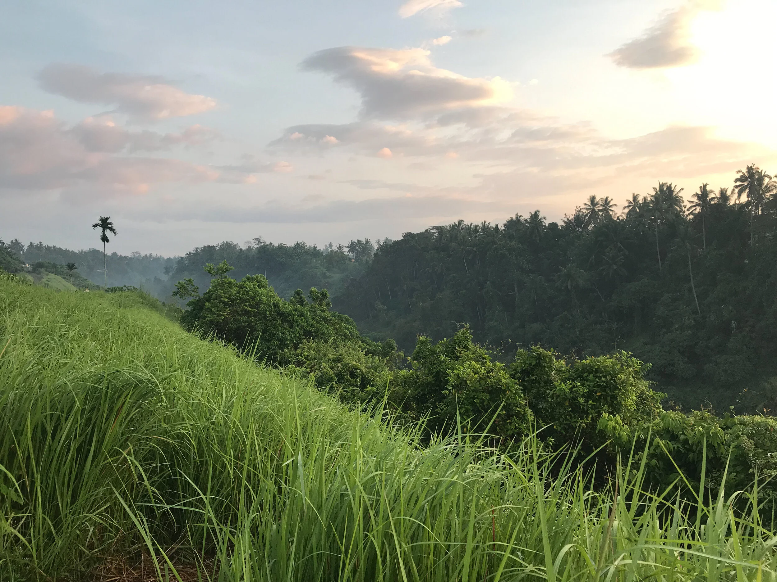 Breathwork near me with Natalie Keany — Evolve Breath Body