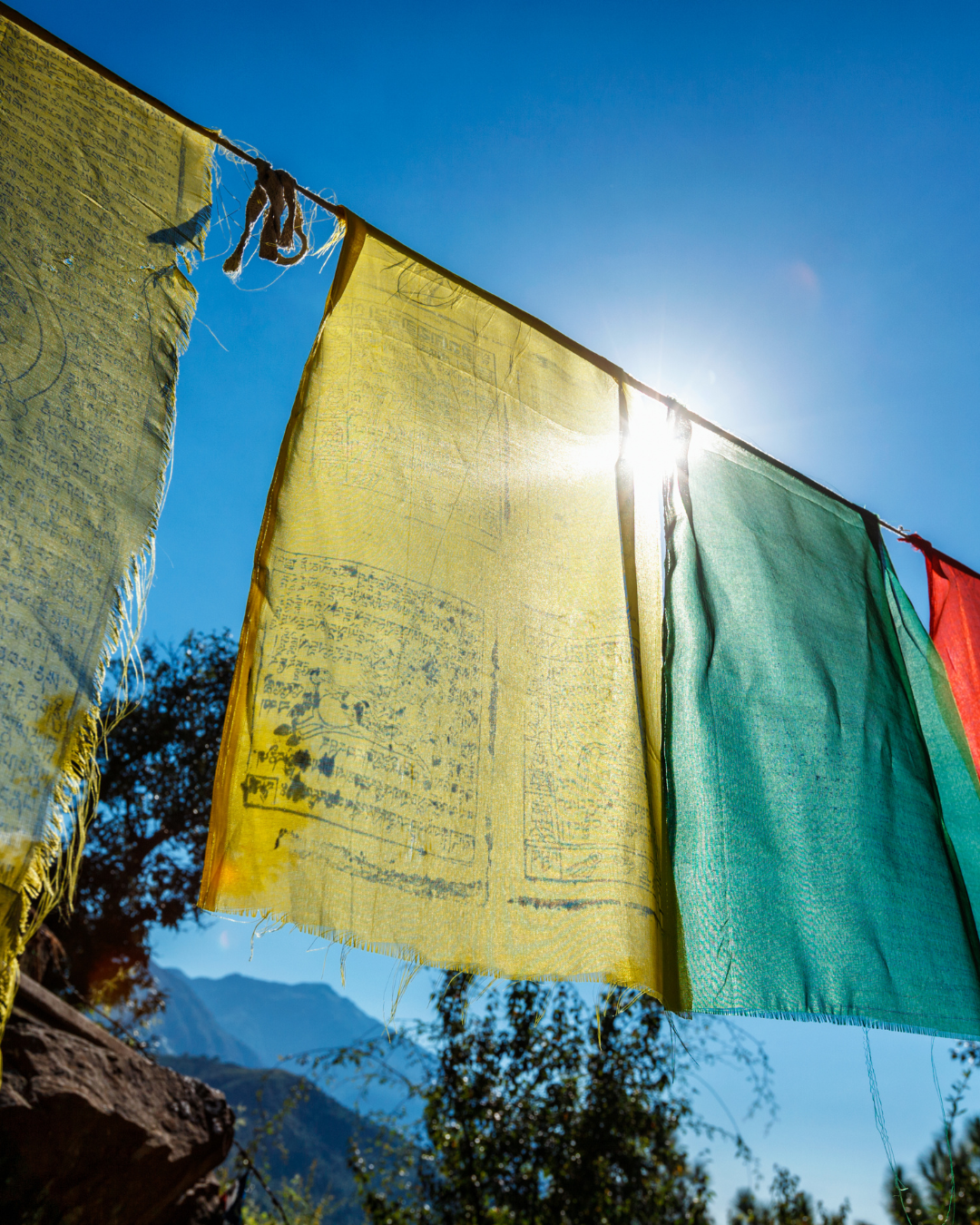 Dharamshalaagra retreat - 1.png