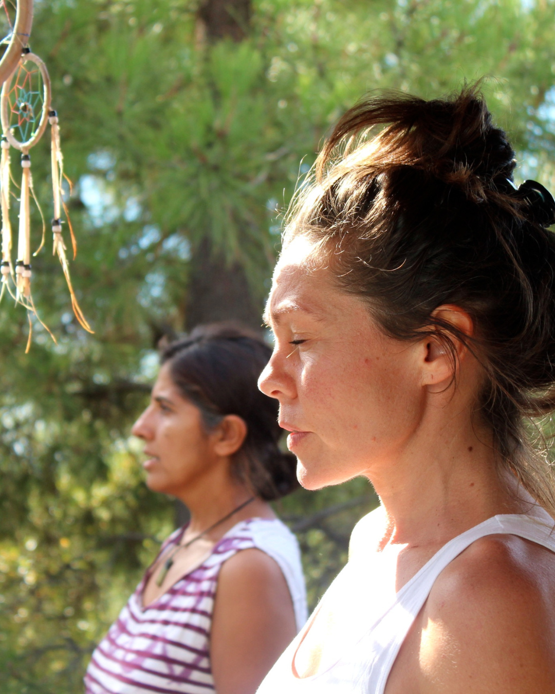 Dharamshalaagra retreat - 14.png