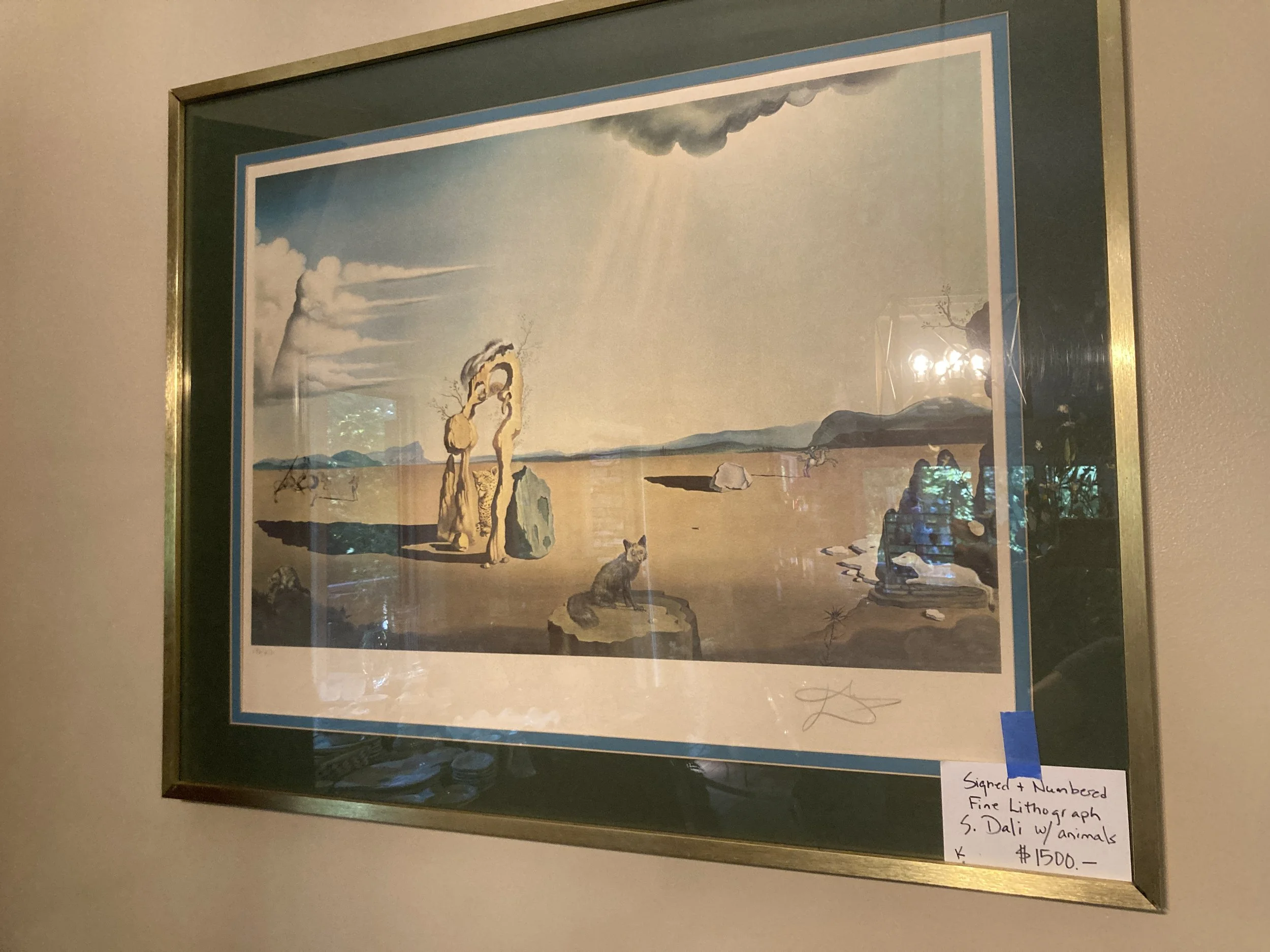 IMG_8806.jpeg