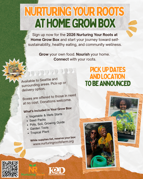 Nurturing Your Roots at Home Grow Box — Nurturing Roots