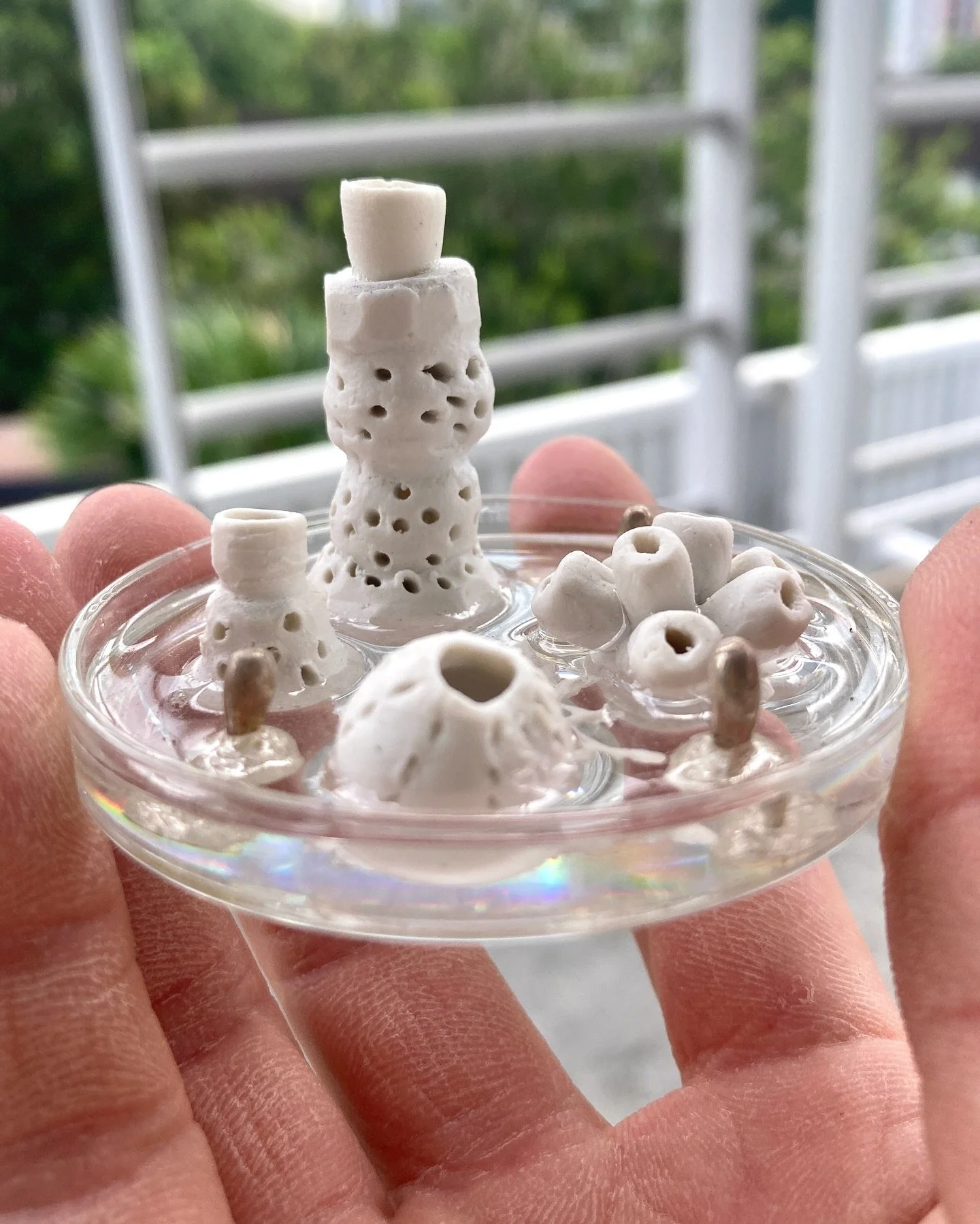 Necrosis (edition of 6)
Silver, ceramics, resin, adhesive, glass petri dish
2025
Varied sizes
.
A closer look at these abstract cell deaths that were part of a mini installation &ldquo;State of Calcification&rdquo; for the Mappa Mundi show that happe