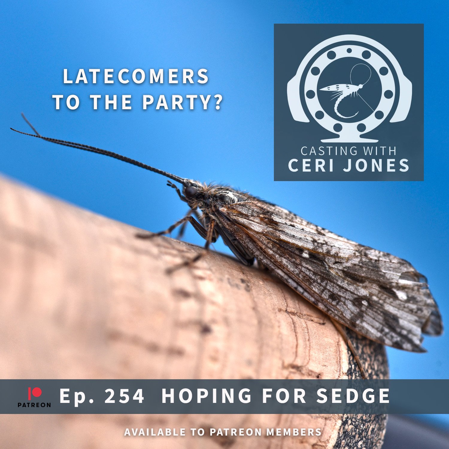 Casting With Ceri Jones : Ep. 254 Hoping for Sedge