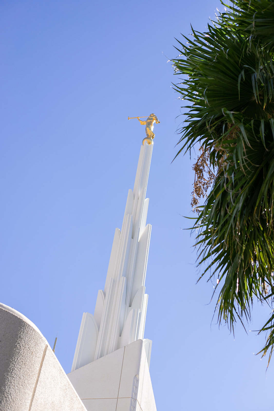 las-vegas-wedding-photography39.jpg