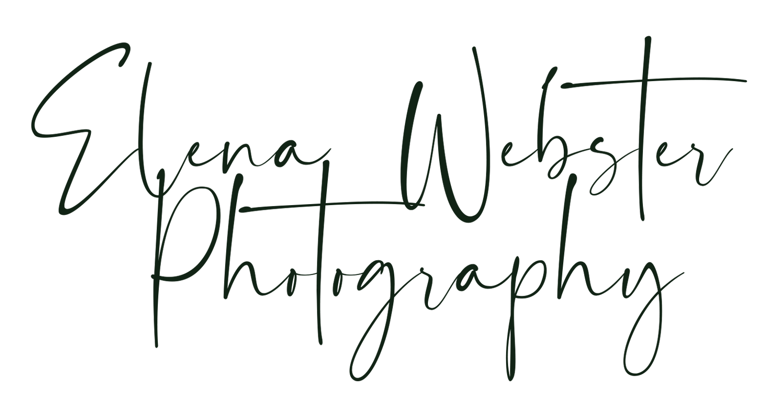 Las Vegas Wedding Photographer | Elena Webster