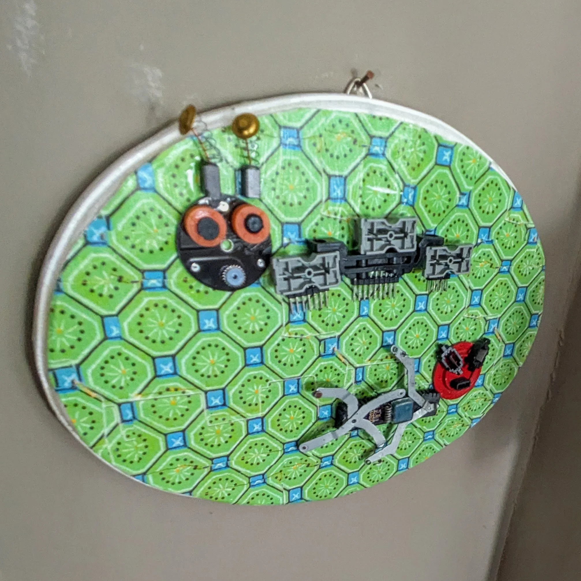 BUgs on Wall 3.jpg