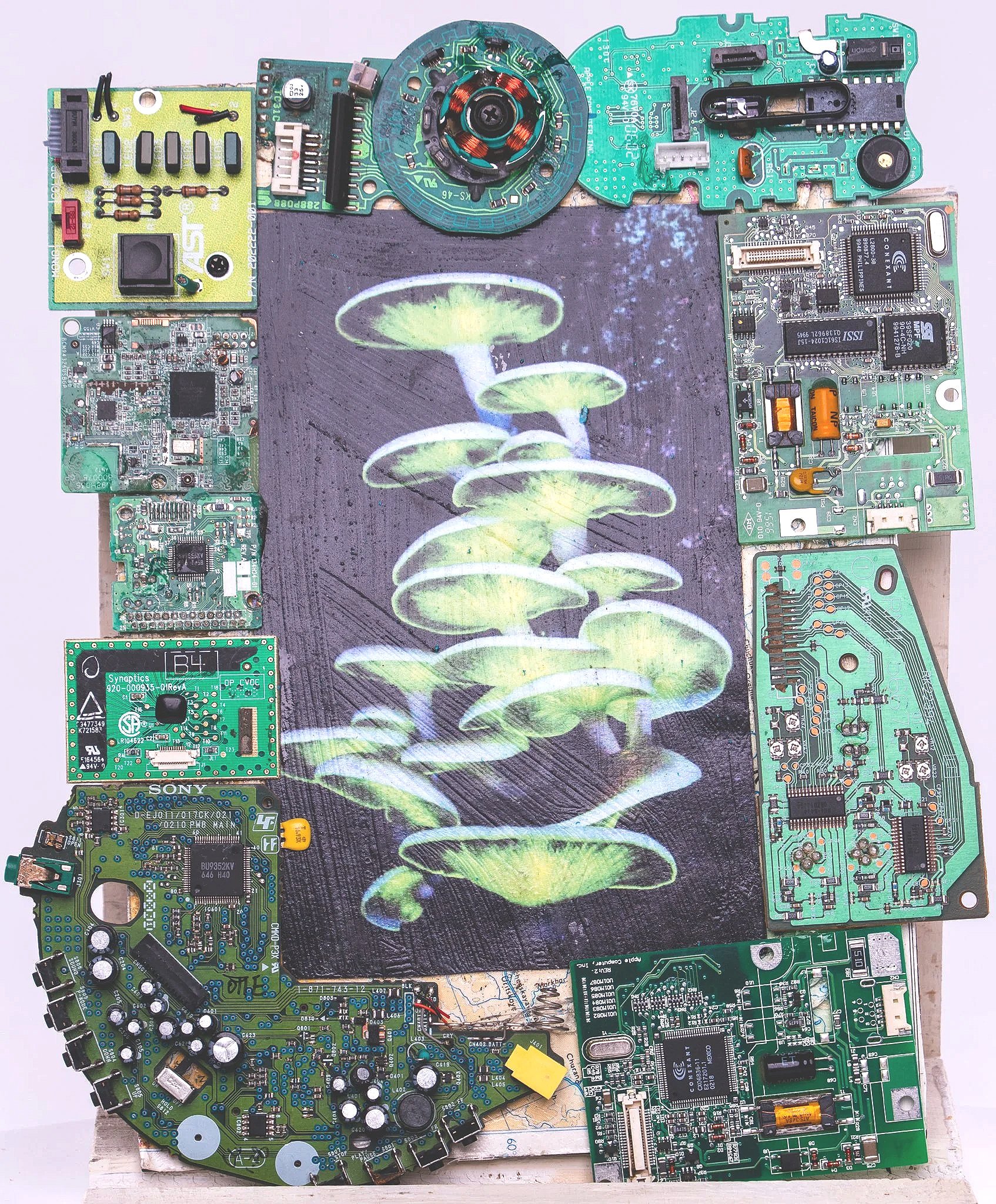 Hacker Creations Artwork: Mushrooms, 2025