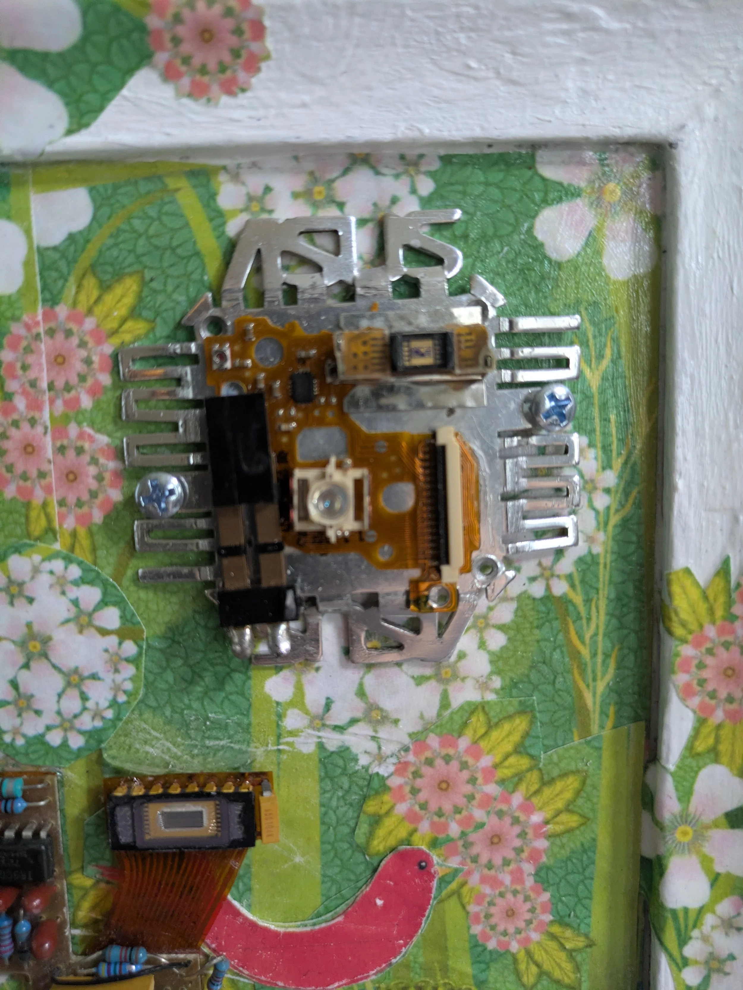 springbird4.jpg