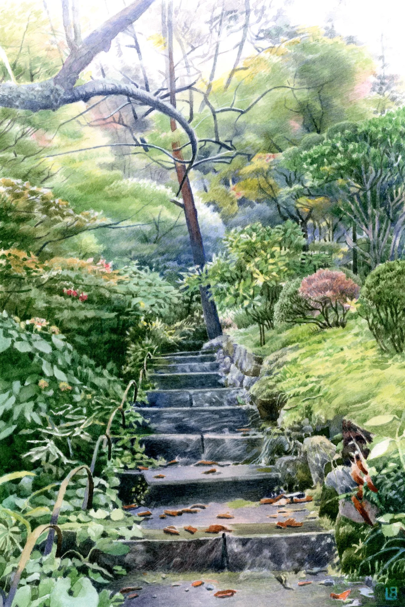 Exhibitions — Liz Butler