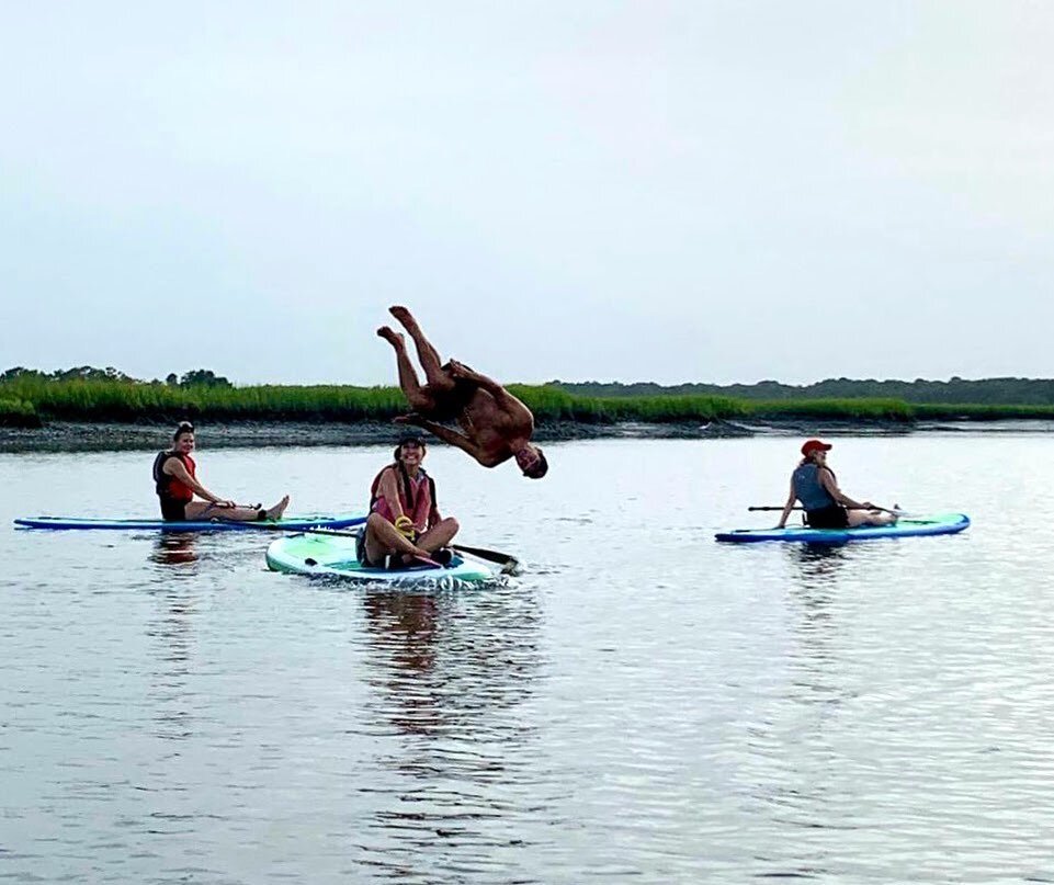 Who&rsquo;s ready to plunge into the week?! Don&rsquo;t forget to end the summer with an experience you won&rsquo;t forget! Call 843.593.SUPS or visit our website at www.waterdogpaddle.com to book your tour☀️
#paddleboarding #charlestonsc #summervibe