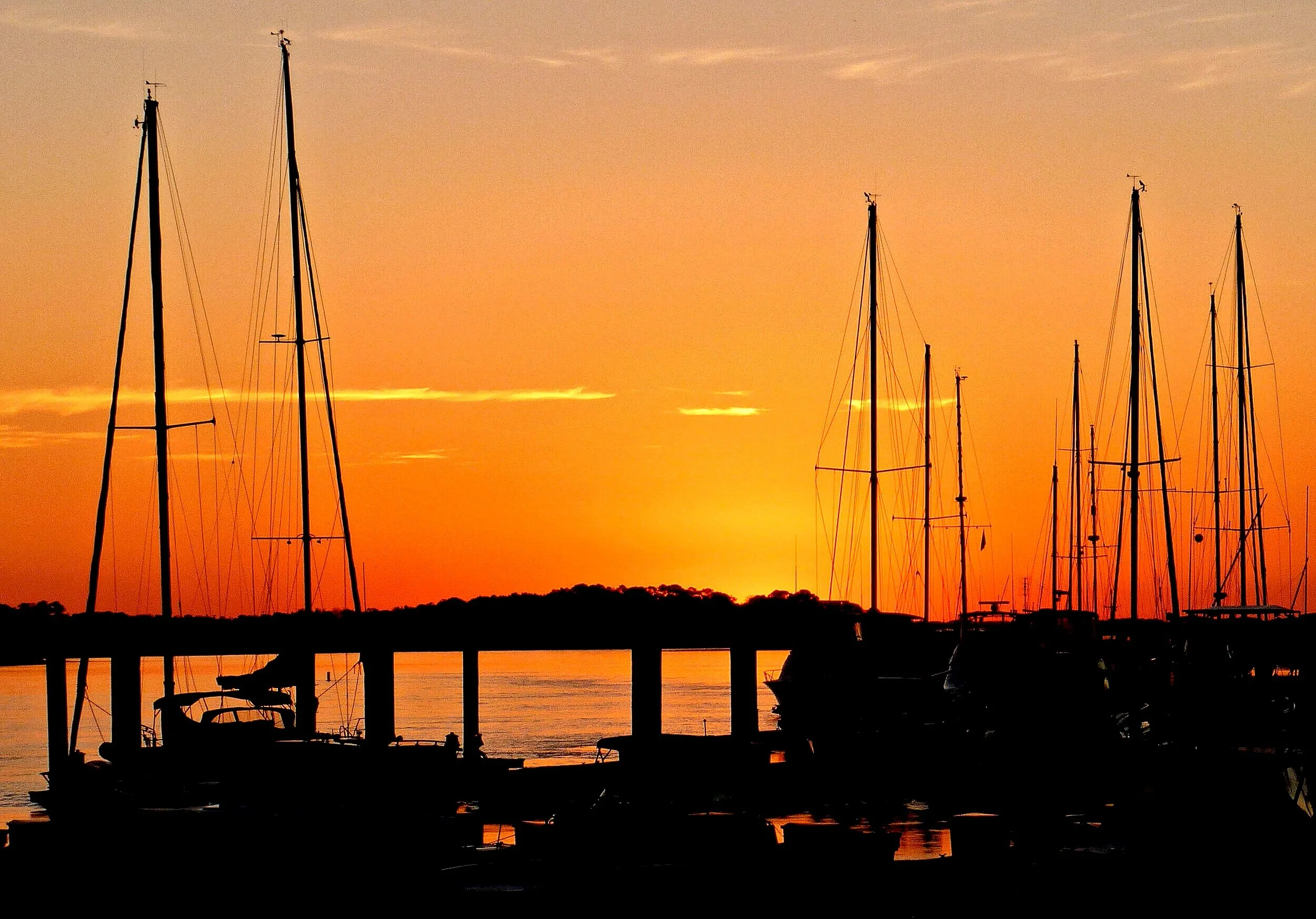 Locations — Water Dog Paddle