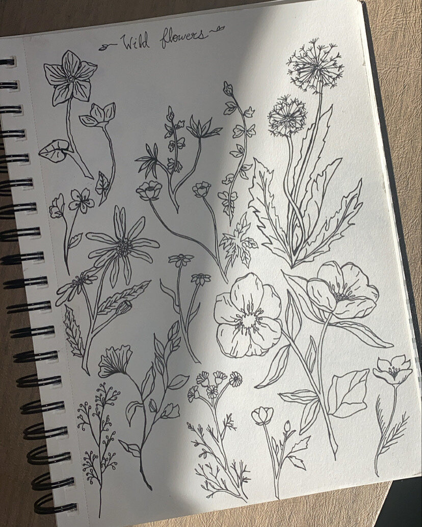 wild flower ink drawings 