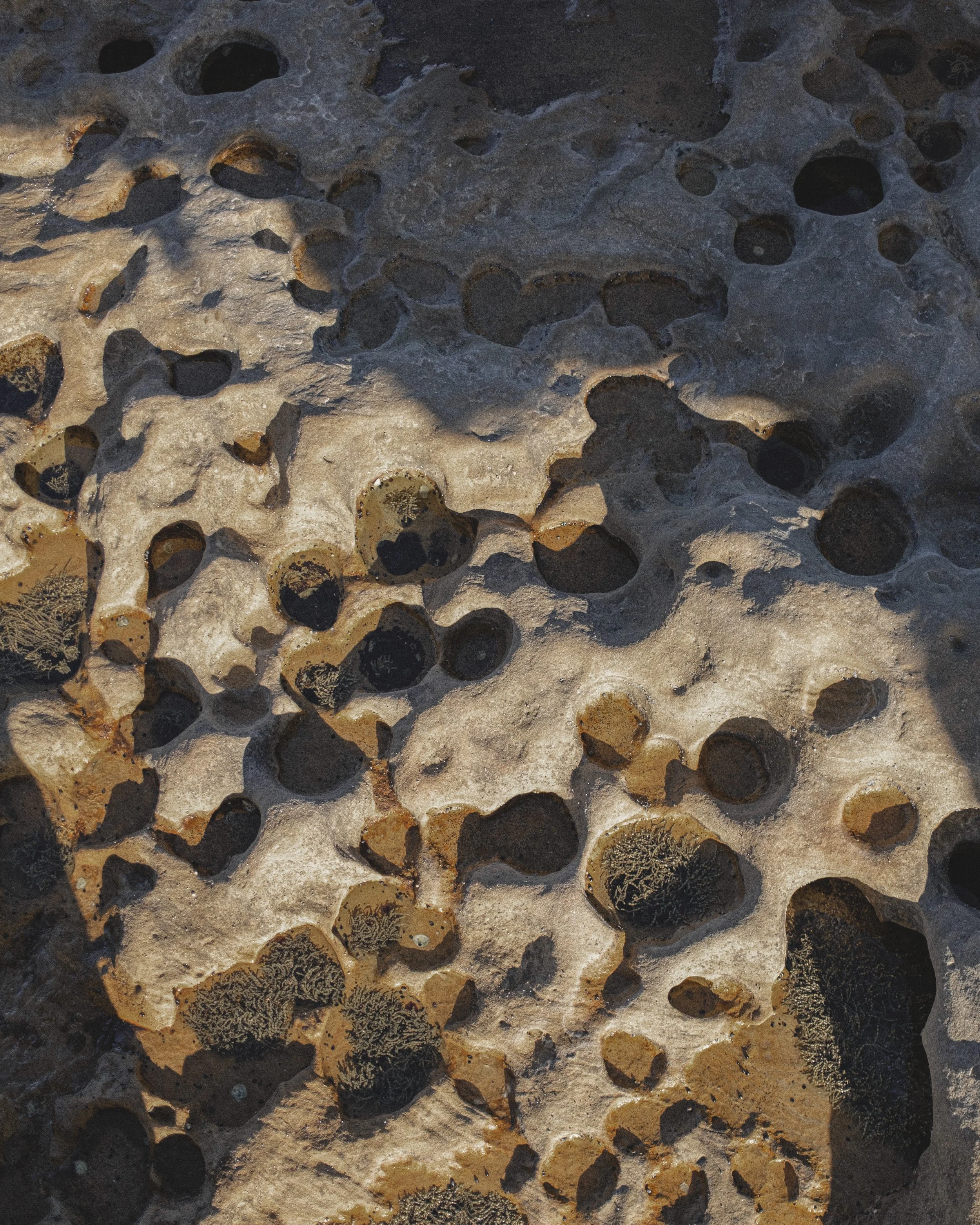 Captain Cook Craters.jpg