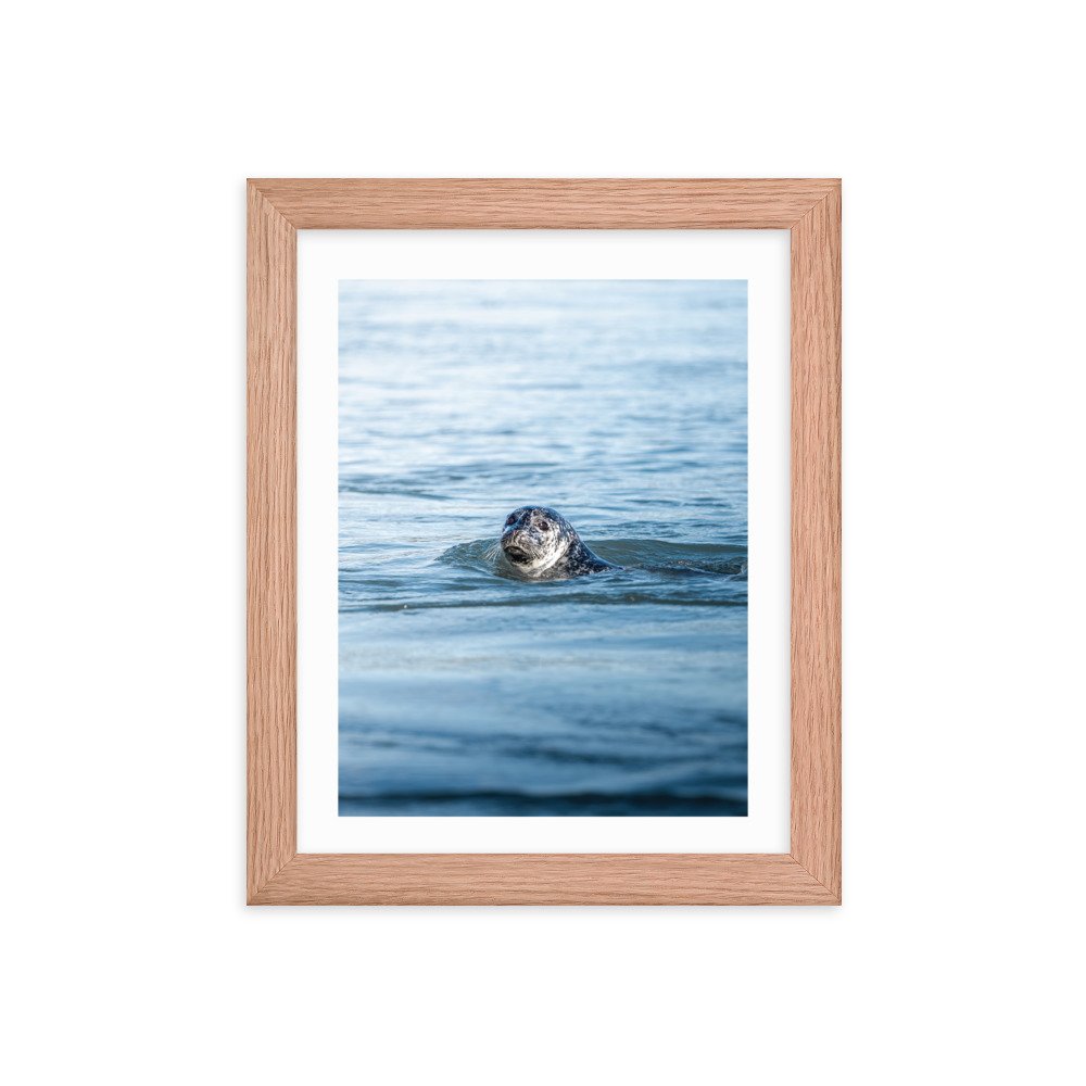 premium-luster-photo-paper-framed-poster-(in)-red-oak-8x10-transparent-65712e30b419a.jpg