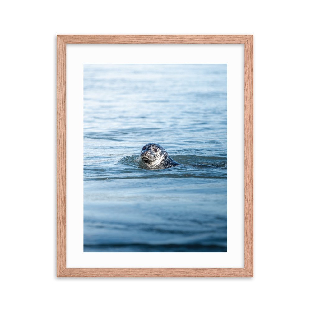 premium-luster-photo-paper-framed-poster-(in)-red-oak-16x20-transparent-65712e30b41f2.jpg