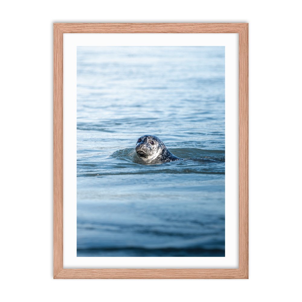 premium-luster-photo-paper-framed-poster-(in)-red-oak-18x24-transparent-65712e30b4248.jpg