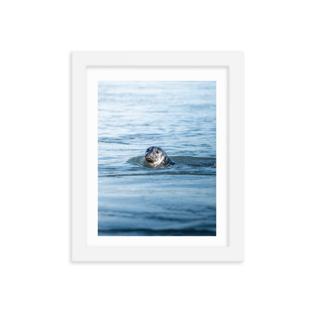 premium-luster-photo-paper-framed-poster-(in)-white-8x10-transparent-65712e30b429c.jpg