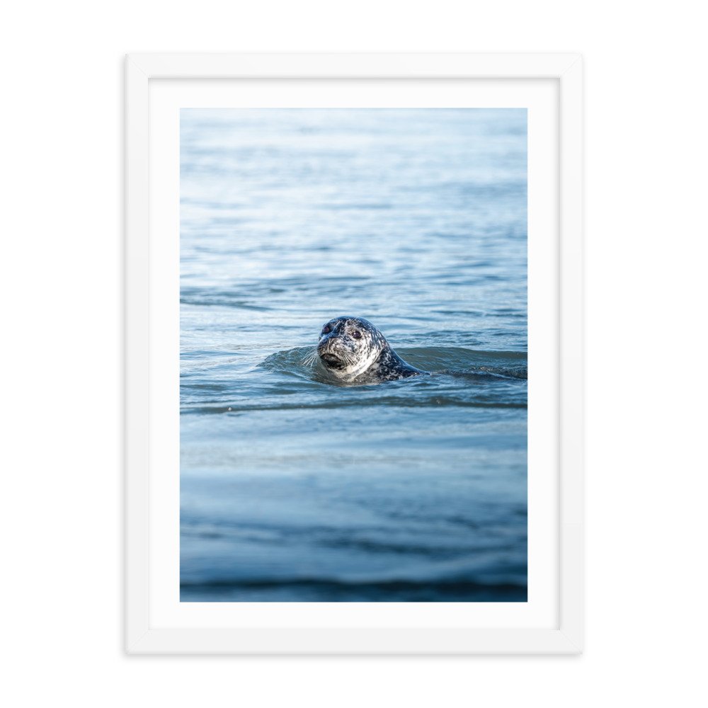 premium-luster-photo-paper-framed-poster-(in)-white-18x24-transparent-65712e30b433e.jpg