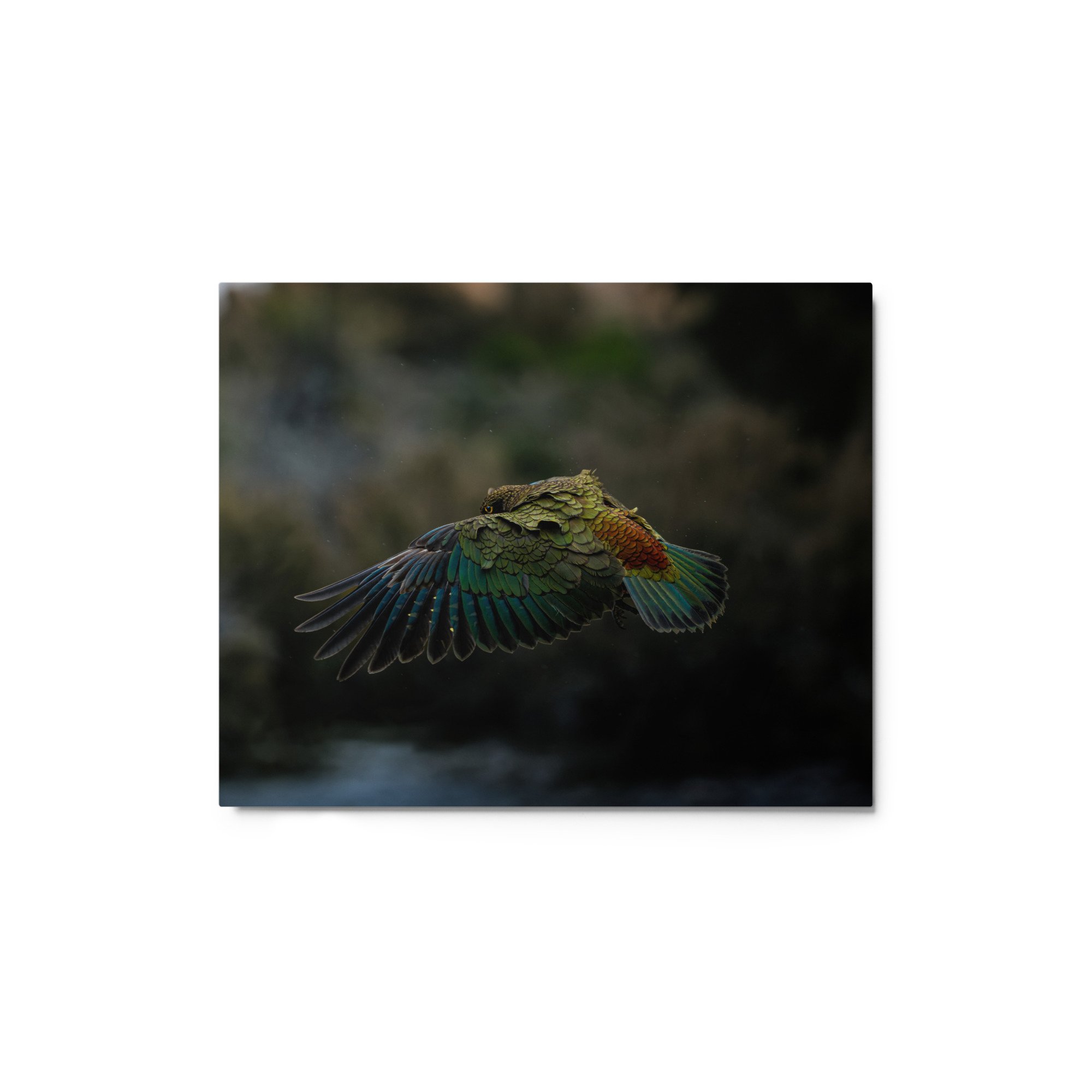 glossy-metal-print-(in)-white-8x10-front-6571336f8964e.jpg
