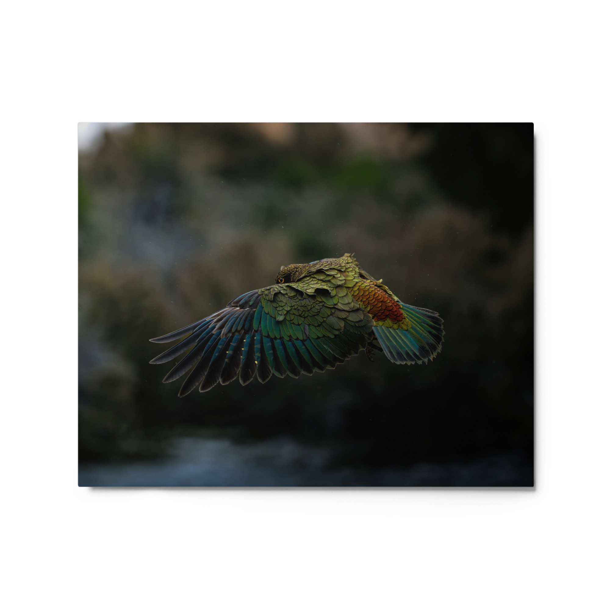 glossy-metal-print-(in)-white-16x20-front-6571336f896cb.jpg