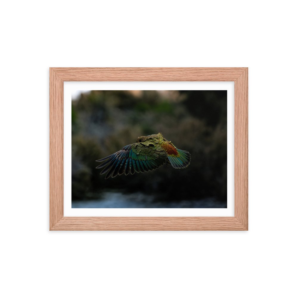 premium-luster-photo-paper-framed-poster-(in)-red-oak-8x10-transparent-65713418bd47b.jpg