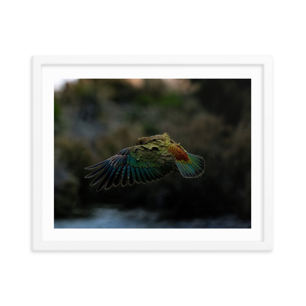 premium-luster-photo-paper-framed-poster-(in)-white-16x20-transparent-65713418bd6d4.jpg
