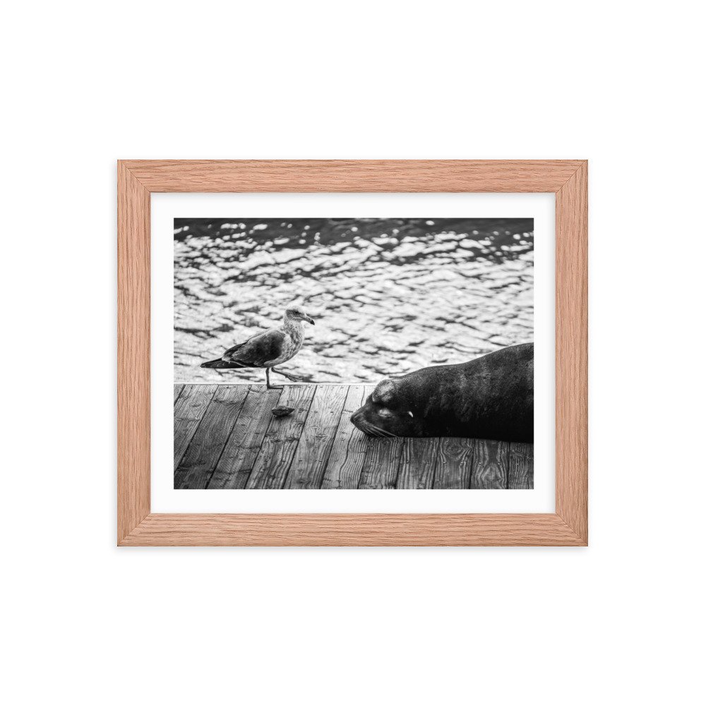 premium-luster-photo-paper-framed-poster-(in)-red-oak-8x10-transparent-657146b736a27.jpg