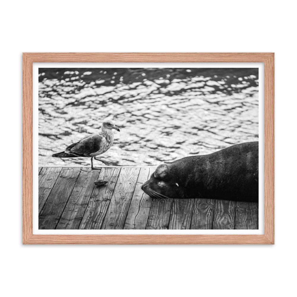premium-luster-photo-paper-framed-poster-(in)-red-oak-18x24-transparent-657146b736b47.jpg