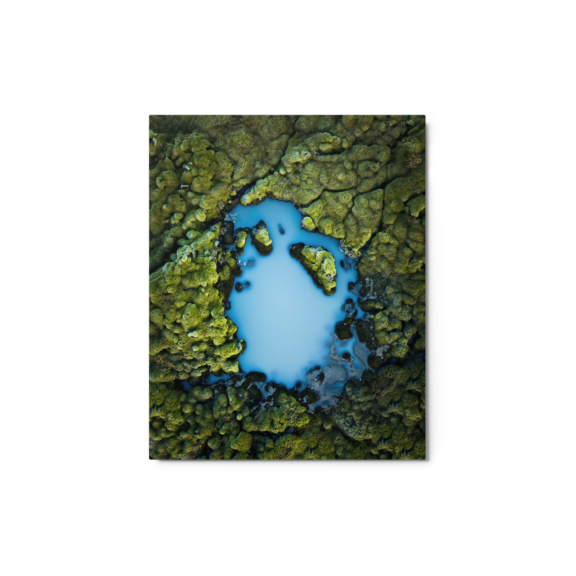 glossy-metal-print-(in)-white-8x10-front-6571e070c224c.jpg