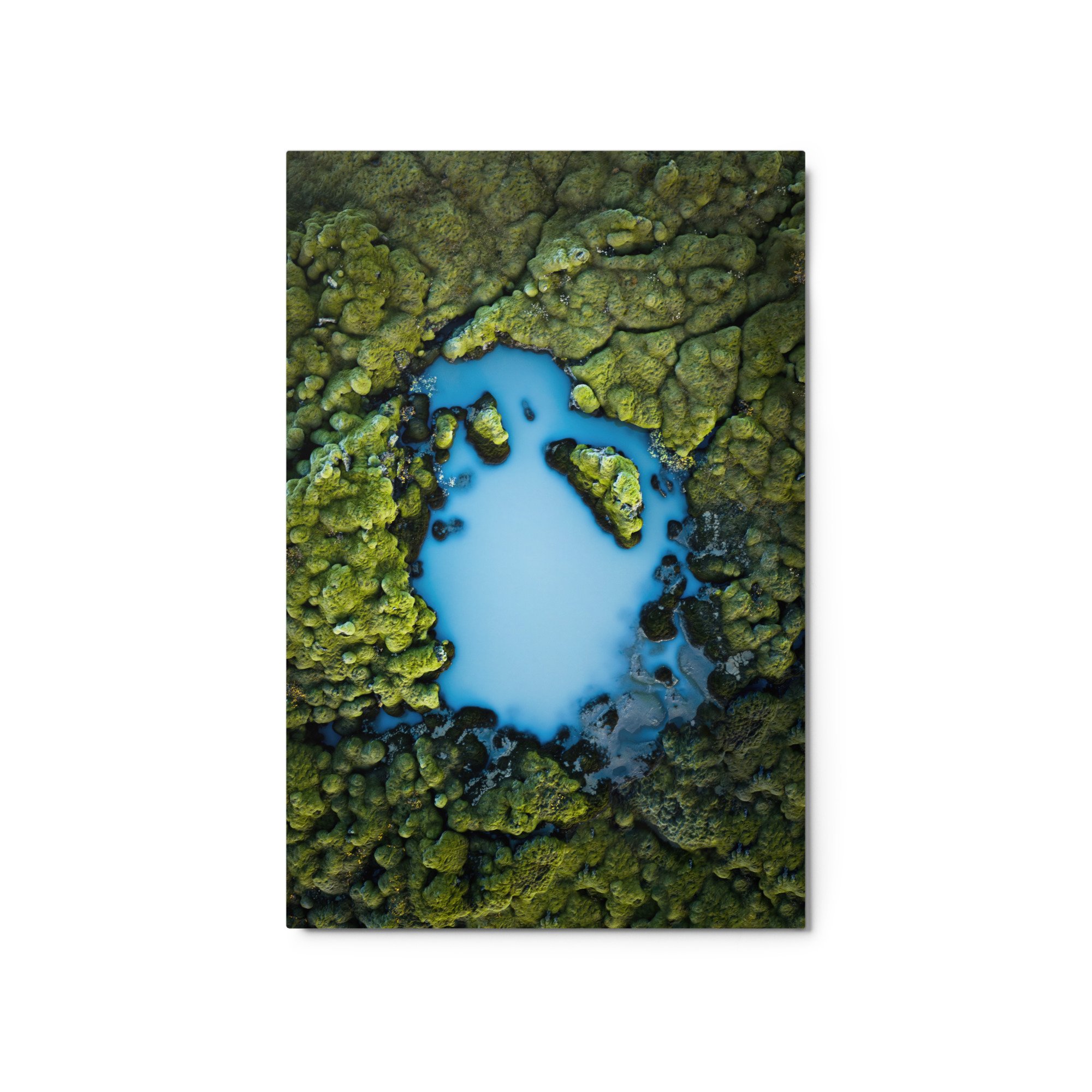 glossy-metal-print-(in)-white-20x30-front-6571e070c2310.jpg