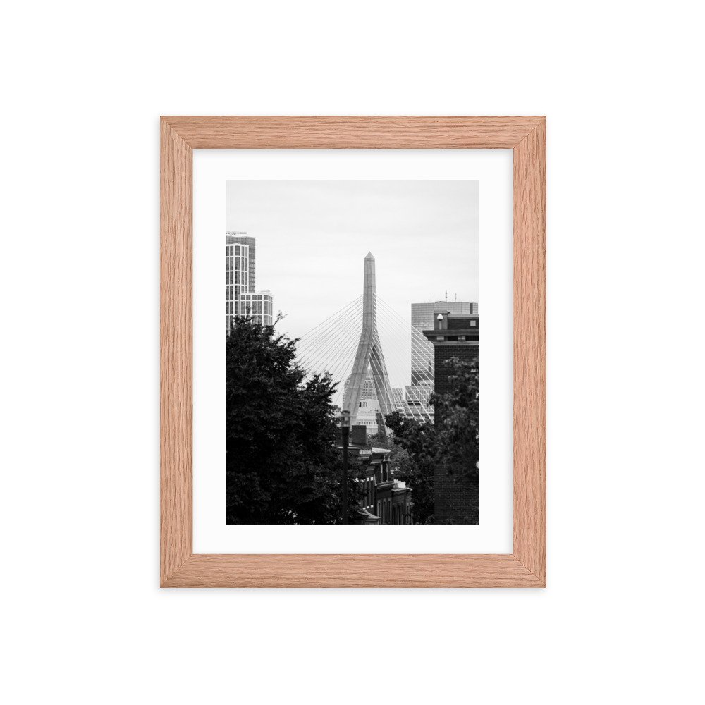 premium-luster-photo-paper-framed-poster-(in)-red-oak-8x10-transparent-6571ec65c032b.jpg