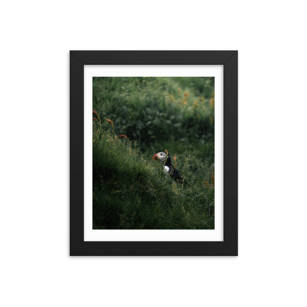 premium-luster-photo-paper-framed-poster-(in)-black-8x10-transparent-6571f1045dcdd.jpg