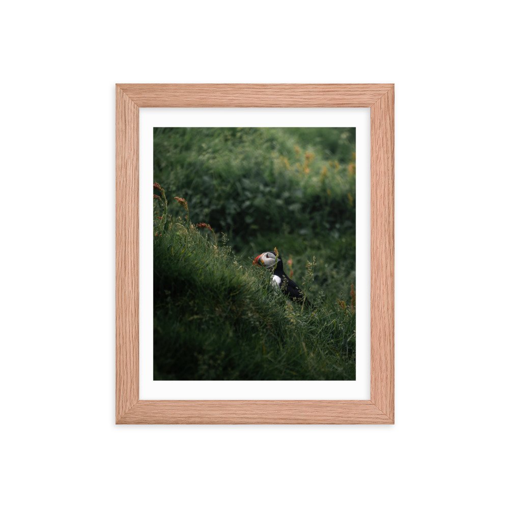 premium-luster-photo-paper-framed-poster-(in)-red-oak-8x10-transparent-6571f1045deb1.jpg
