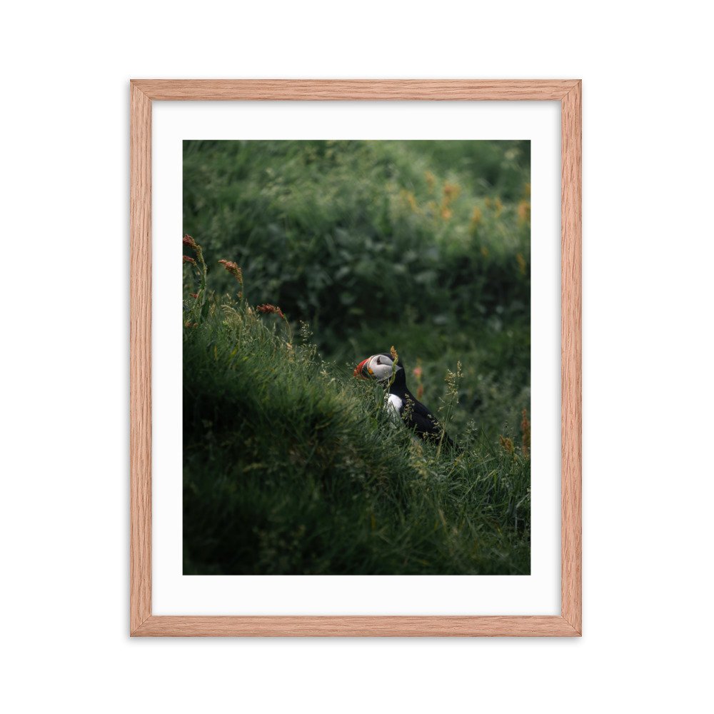 premium-luster-photo-paper-framed-poster-(in)-red-oak-16x20-transparent-6571f1045df46.jpg