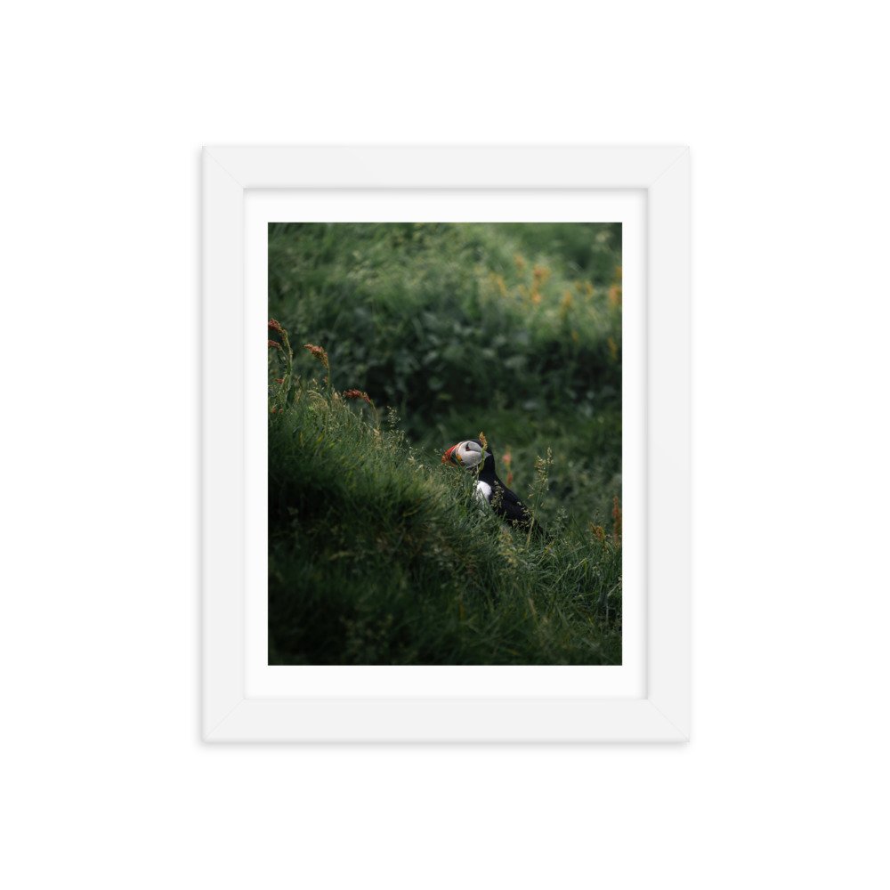 premium-luster-photo-paper-framed-poster-(in)-white-8x10-transparent-6571f1045e08a.jpg