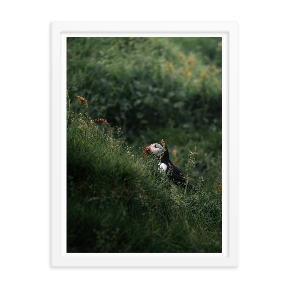 premium-luster-photo-paper-framed-poster-(in)-white-18x24-transparent-6571f1045e1e2.jpg