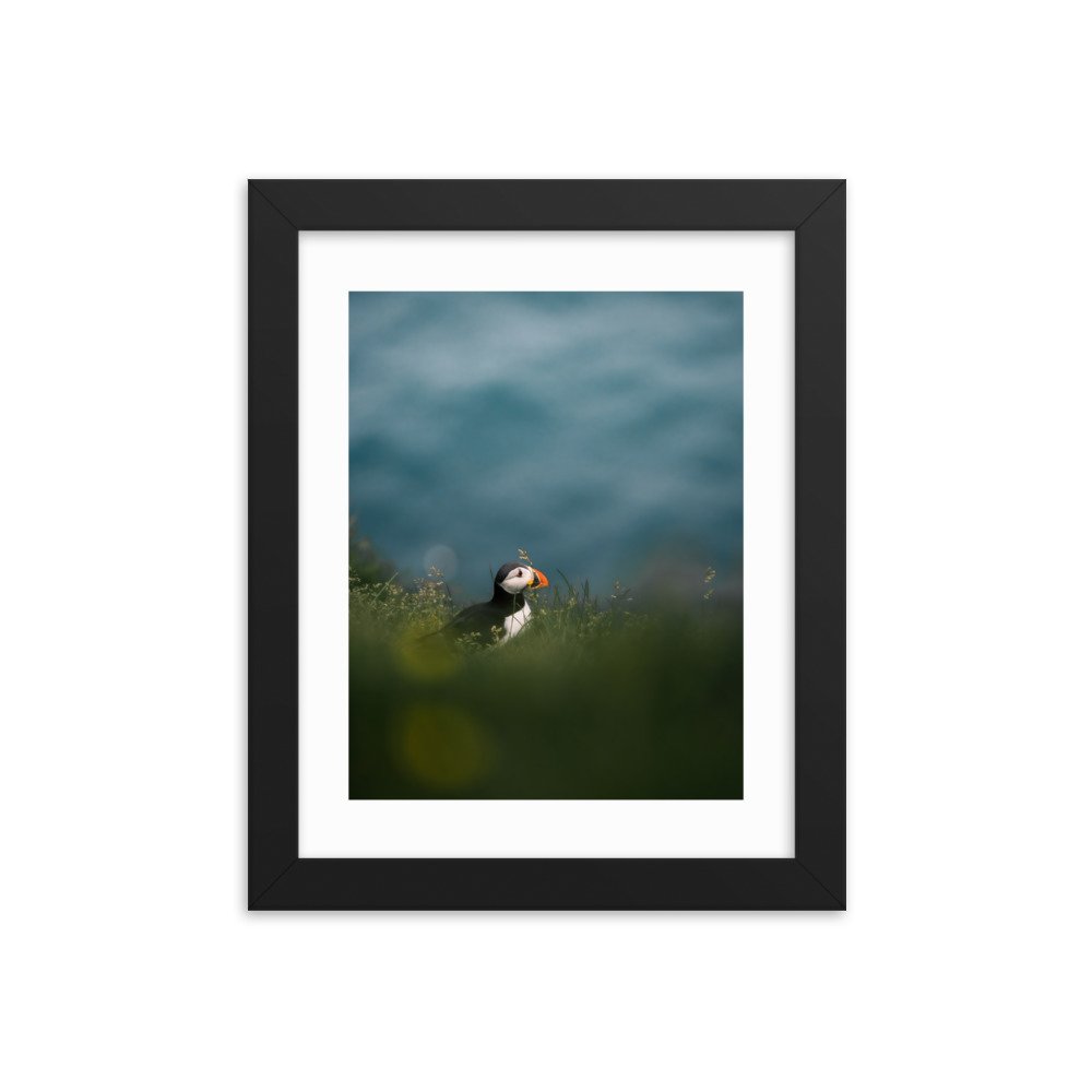 premium-luster-photo-paper-framed-poster-(in)-black-8x10-transparent-6571f1e272679.jpg
