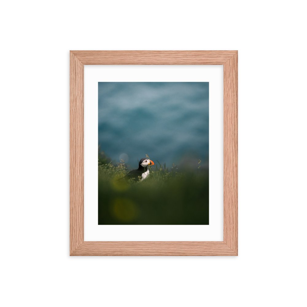 premium-luster-photo-paper-framed-poster-(in)-red-oak-8x10-transparent-6571f1e272860.jpg