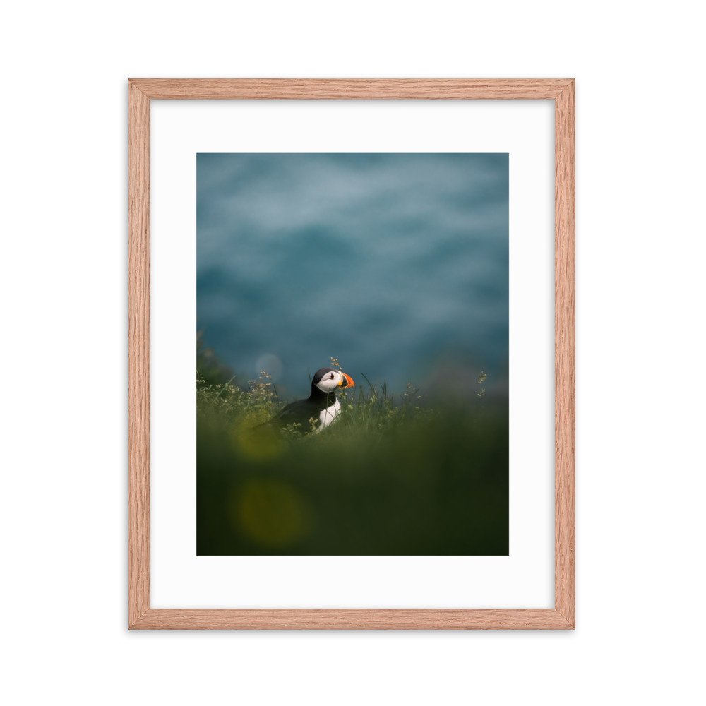 premium-luster-photo-paper-framed-poster-(in)-red-oak-16x20-transparent-6571f1e272909.jpg