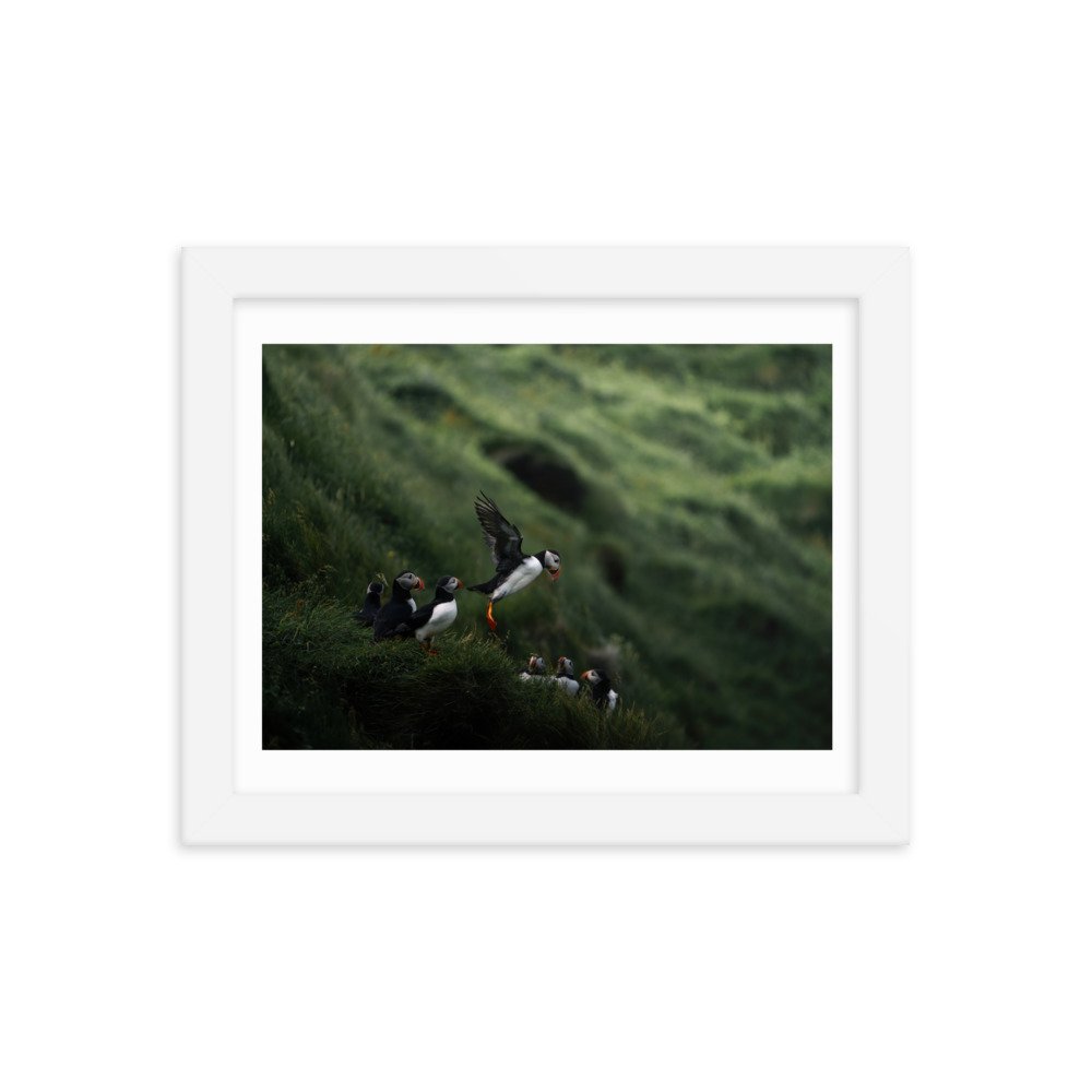 premium-luster-photo-paper-framed-poster-(in)-white-8x10-transparent-6571f431be7f8.jpg