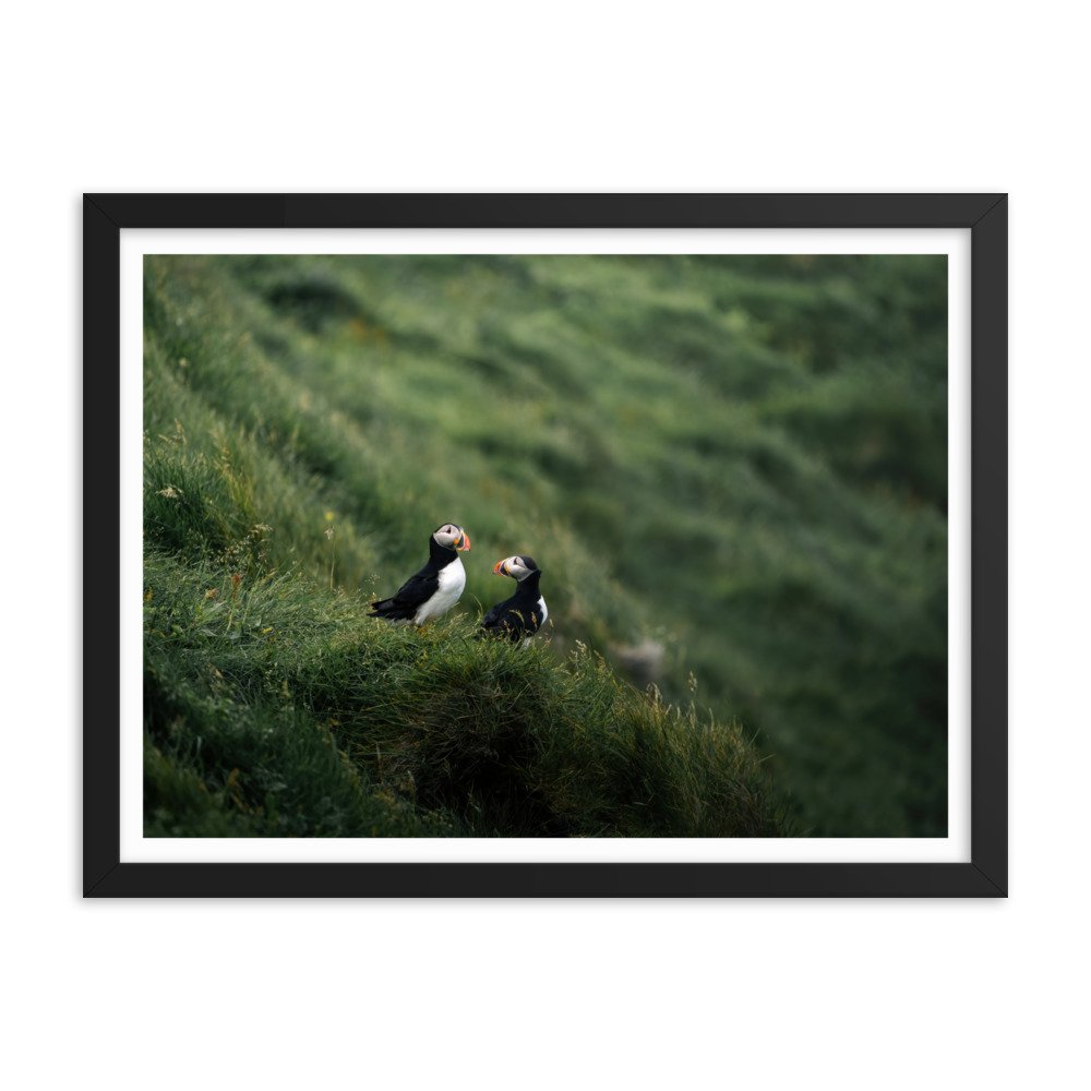 premium-luster-photo-paper-framed-poster-(in)-black-18x24-transparent-6571f5ce7d157.jpg