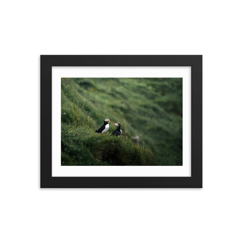 premium-luster-photo-paper-framed-poster-(in)-black-8x10-transparent-6571f5ce7e5a9.jpg