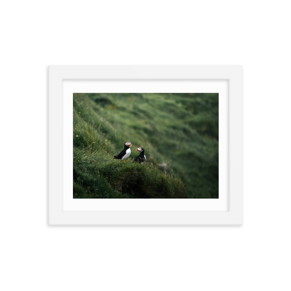 premium-luster-photo-paper-framed-poster-(in)-white-8x10-transparent-6571f5ce7e90c.jpg